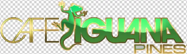 George Dukes B-day Hosted By Dj Khaled, Birdman, Jaquees - Cafe Iguana