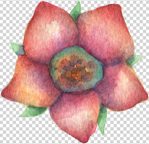 Hand Painted Dark Red Flowers Watercolor Transparent