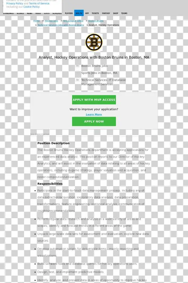 Position Description The Boston Bruins - Web Page