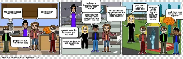 Skeleton Muscles - Cartoon