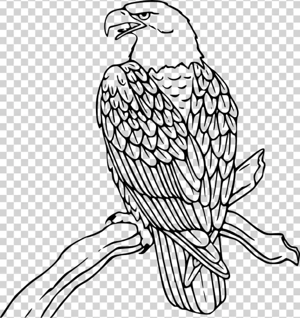 This Free Clipart Png Design Of Bald Eagle
