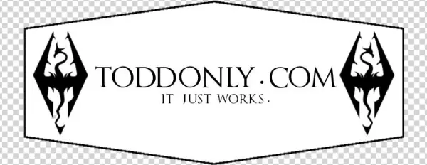 Todd Howard Near You - Custom Women's Cool Two-toned Shirts Video Game Skyrim