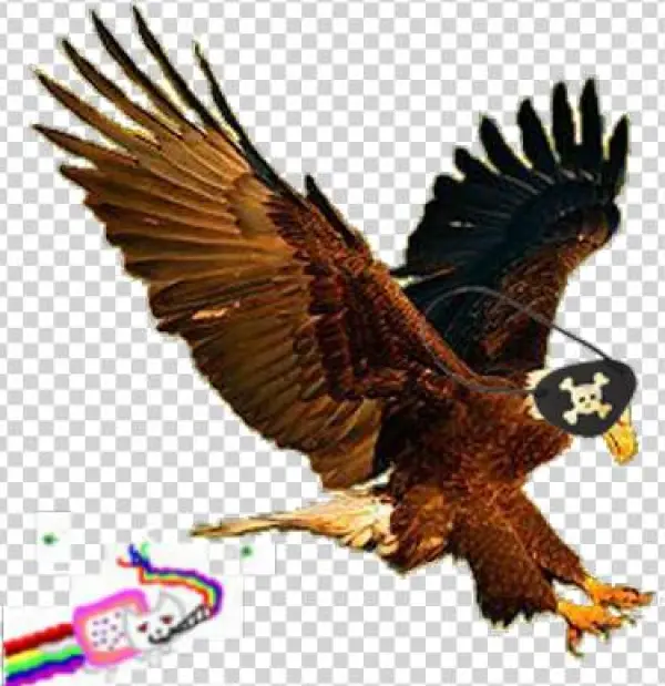 Anyanymous Lulzism - Bald Eagle