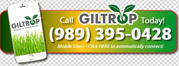 Call Now Button - Caffeinated Drink