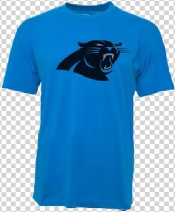 Carolina Panthers Biggie Logo T-shirt - Carolina Panthers 3' X 5' Logo Single-sided Fremont
