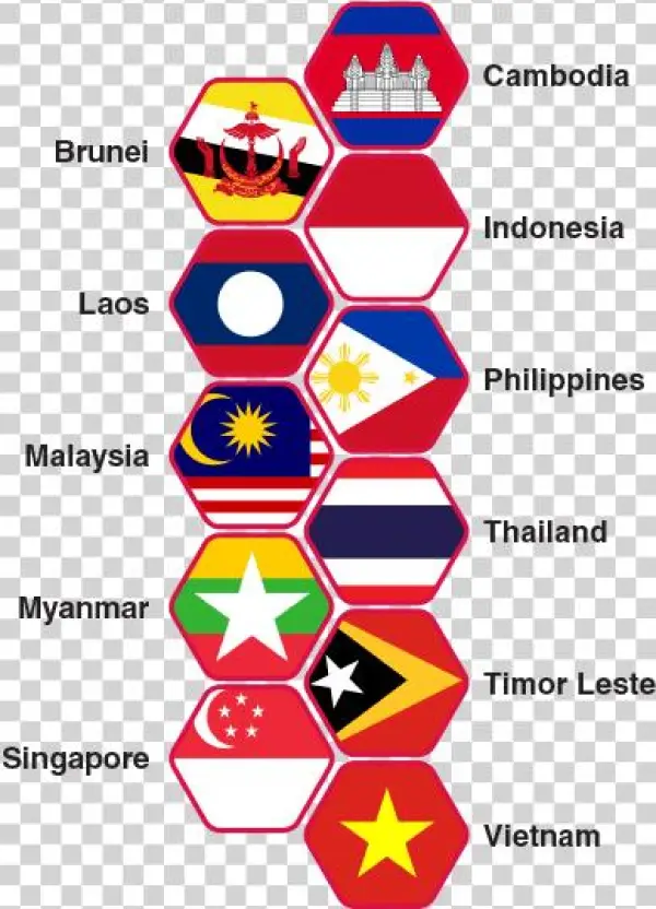 Countries Flag - Flag Of Brunei Lapel Pin, Adult Unisex, Lavender Blush