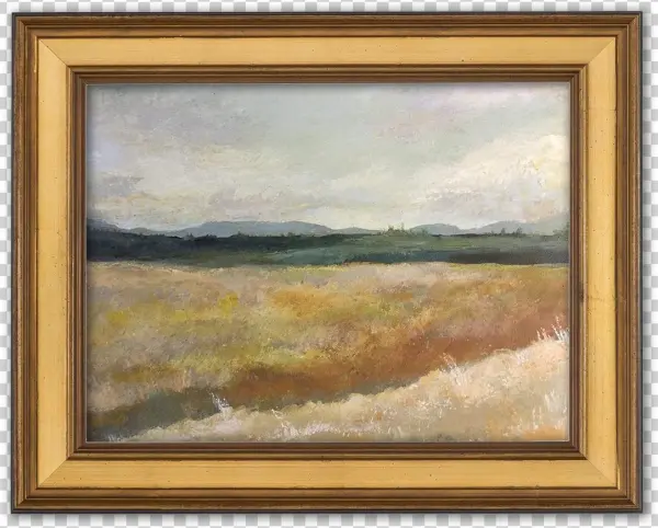 Eric Allard Liked This - Picture Frame