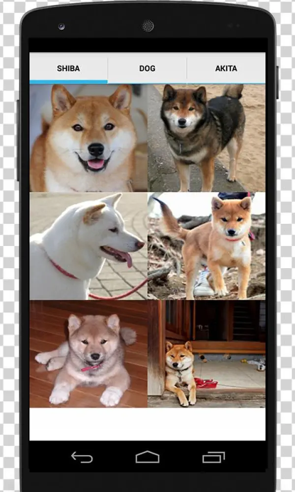 Puppy Shiba Inu Aluminum License Plate