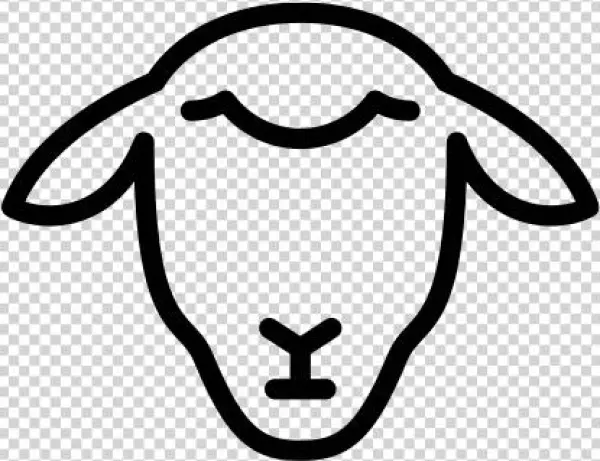 Sheep And Lamb Dishes - Christianity
