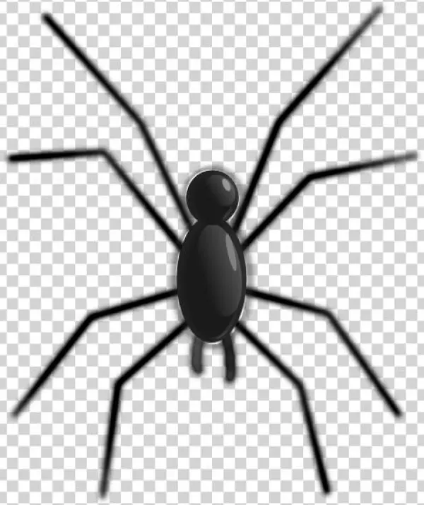 Spider Svg Clip Arts 504 X 601 Px