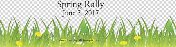 Spring Rally Border - Adobe Photoshop
