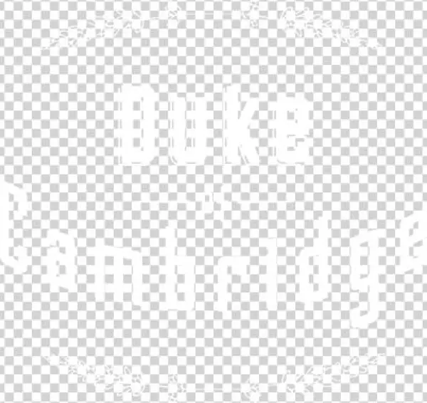 Youngs Pubs - Writer