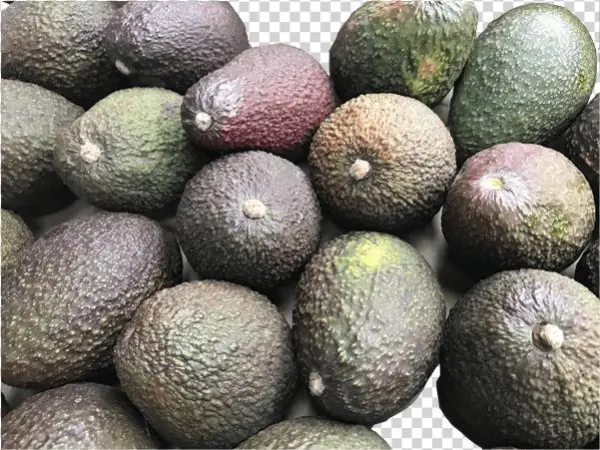 Aguacate - Food