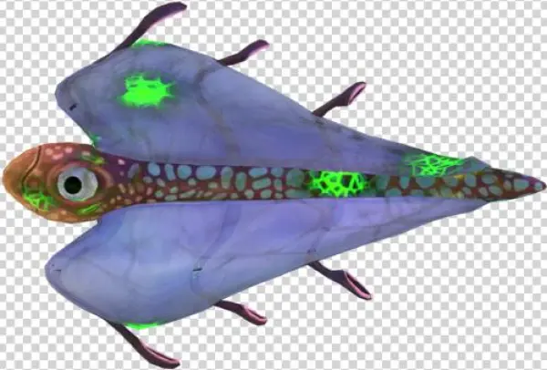 Bladderfish Png