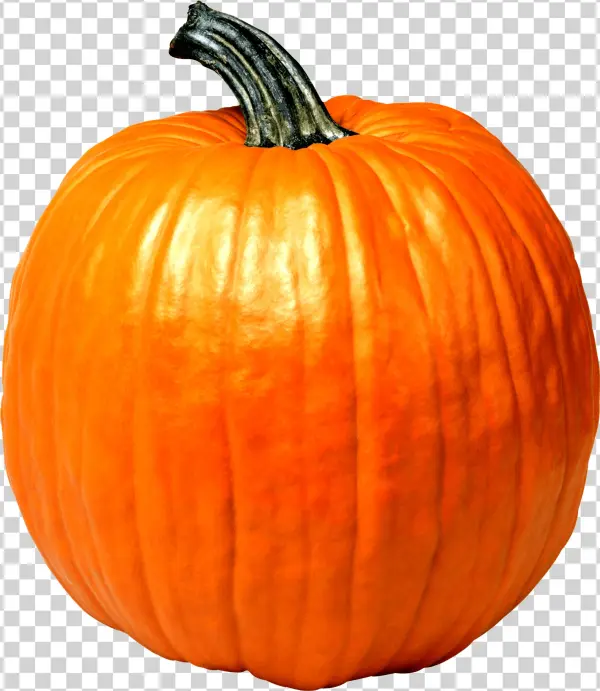 Creative Teaching Materials Spanish-english Book W/cd-green,