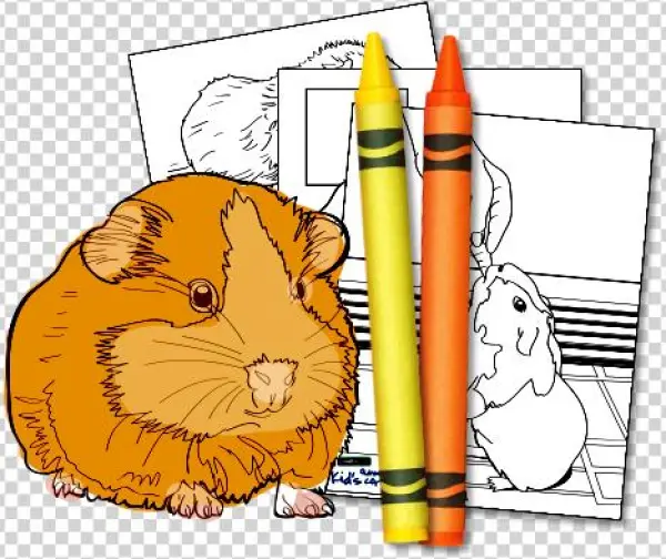 Download Activity Kit - Cartoon