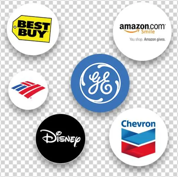 Examples Of Companies That Donate To Nonprofits And - Fda Vet Veterinary Oled Digital Blood Pressure&heart