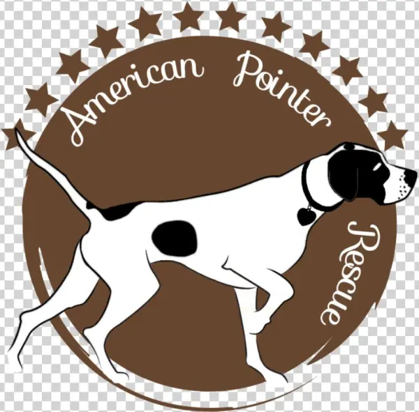 Express Delivery From The North Pole