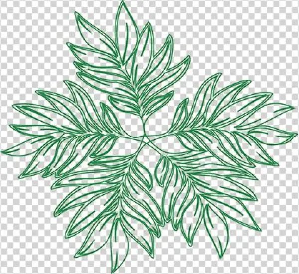 George Addaiv - Policy