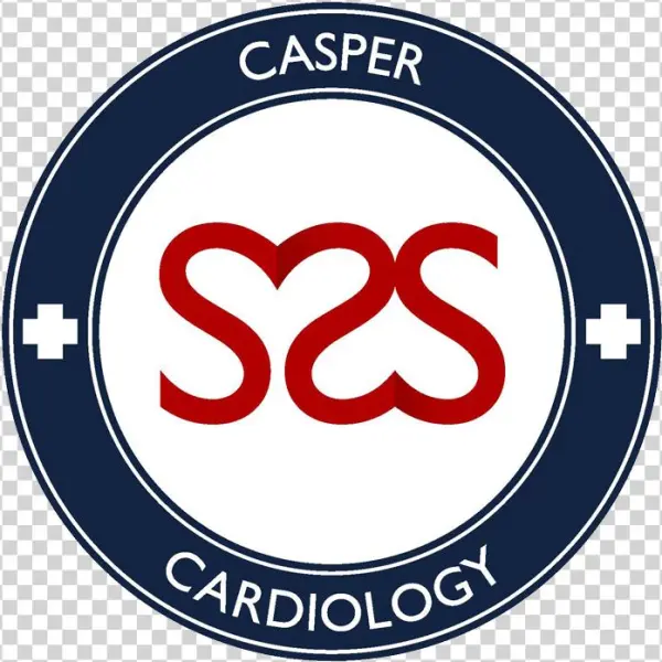 Meet With A Skilled Cardiologist In Casper, Wy - Johnson Brothers Victorian Christmas (made In England)
