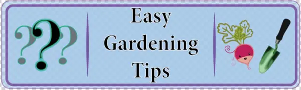 Page Gardening Tips 3 - Lilac