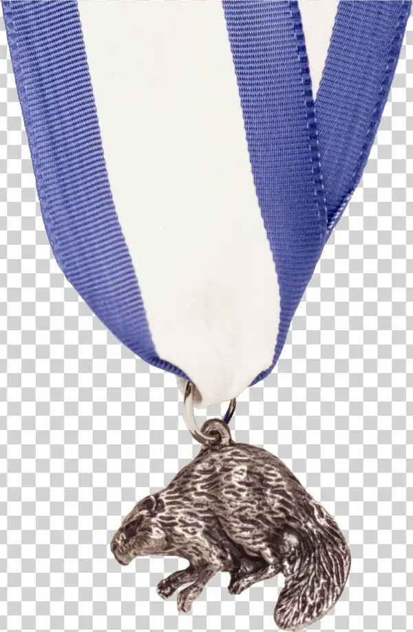 Silver Beaver Medal