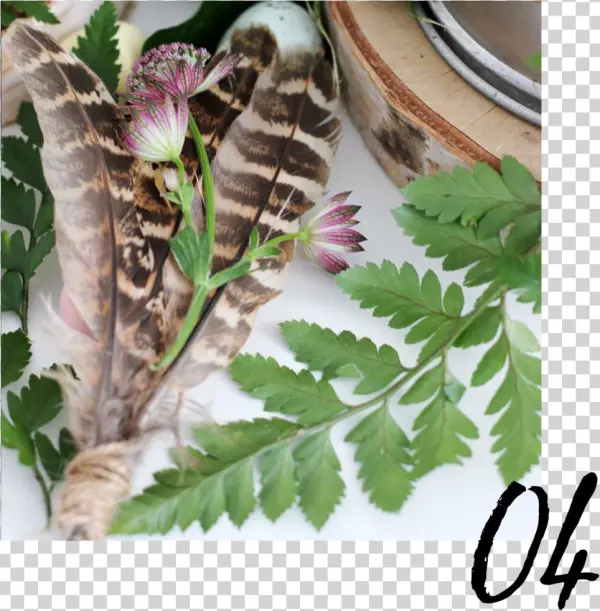 Sora Surya No Sacred Circle Training4 - Valerian