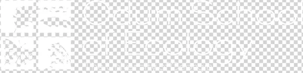 Uga Arch - Cvm - Ose - Ps4 Logo White Transparent