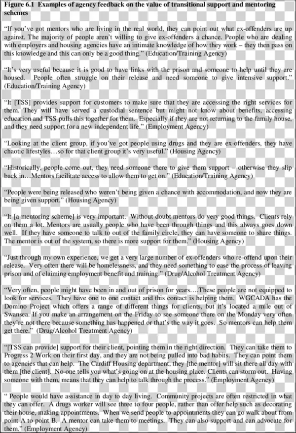 1 Examples Of Agency Feedback On The Value Of Transitional - 73