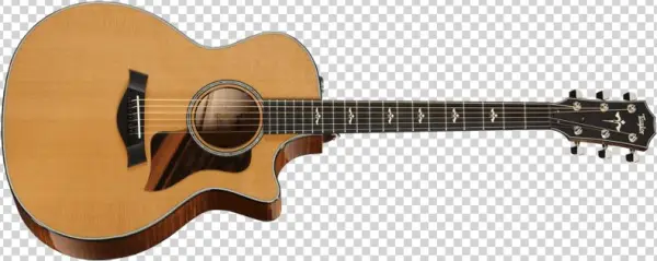 614ce - Taylor 514ce Electro Acoustic