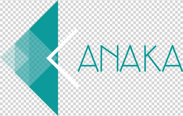 Architect - Triangle