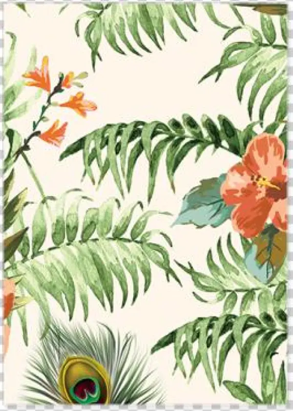 Coupon Repas Jungle Pepperandjoy Back - Matematica 4t.eso + Smartbook - Concejero Arrebola,