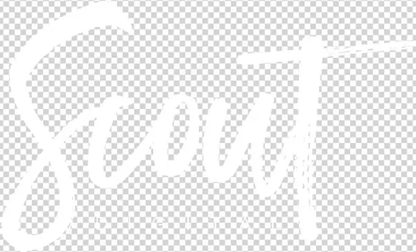 Free Wedding Album Template