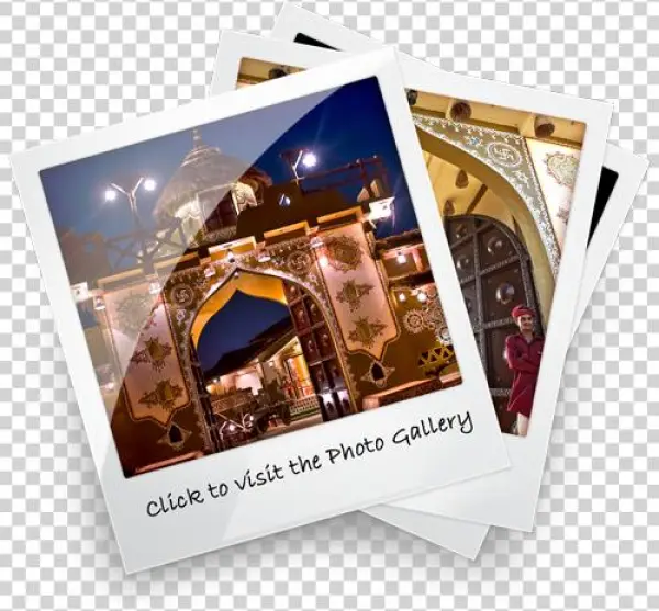 Gallery Link - Flyer