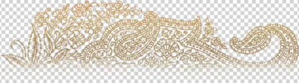 If The Product Is In The Restored Condition We Dispatch - Geethanjali