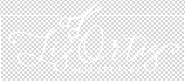 Liz Ortiz Hair Artistry - Hair