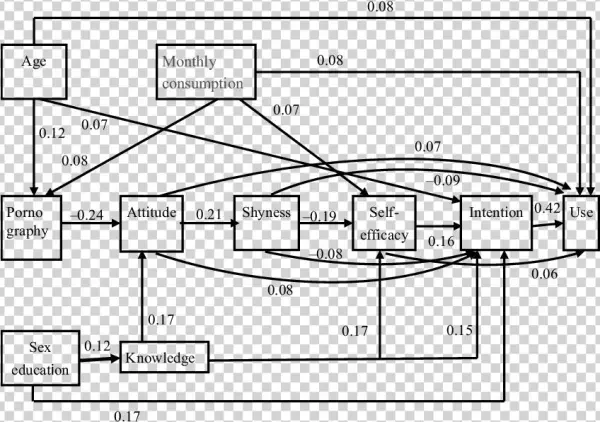 Path Analysis Of Determinants Of Condom Use Among Male - Diagram