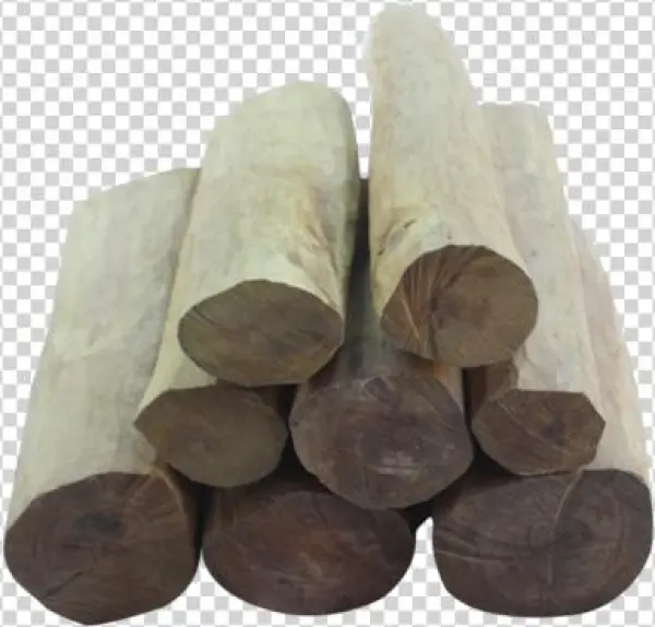Sandalwood Logs - Hyderabad