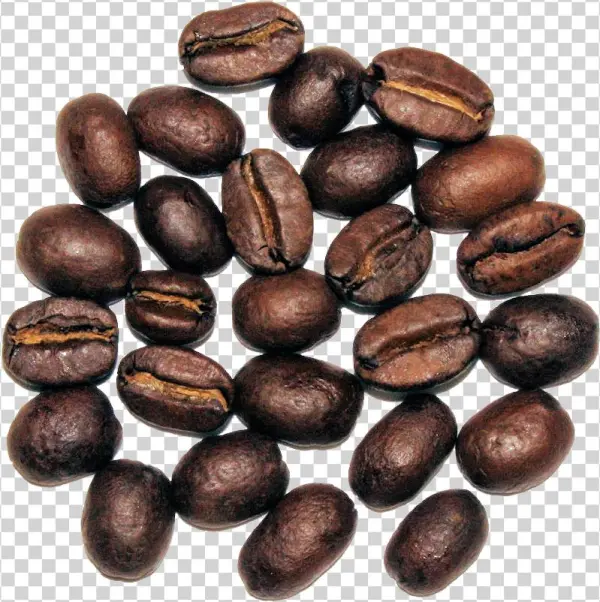 The Cultured Cup® - Seed