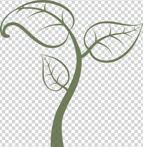 We Are Committed To Natural