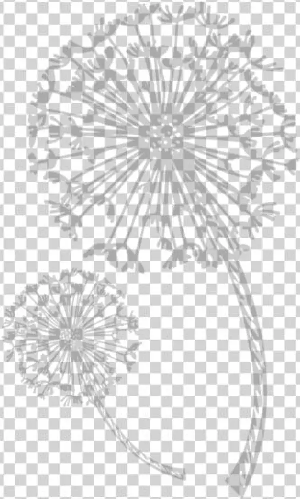 Welcome To Lostclan - Austin