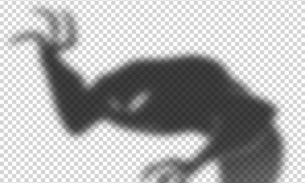 What Lurks In The Shadows - Monochrome