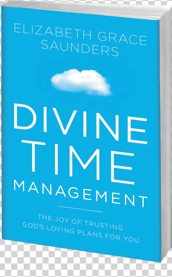 Who Is The Book Primarily Written For