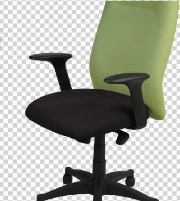 Wl Z - Office Chair