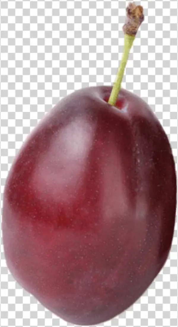 2 - Plum - Cherry