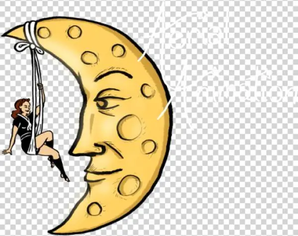 Abigail Baird's Aerial Animation - Animation