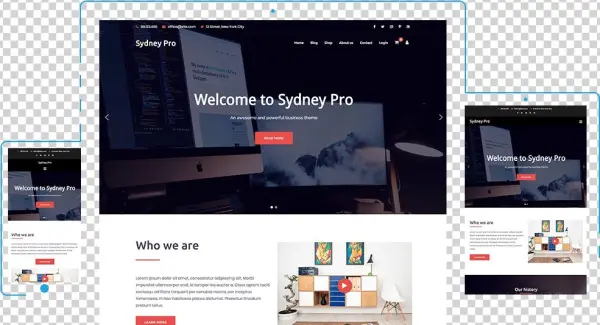 Adorn Home Essentials Floating Shelves Set Of 3 With