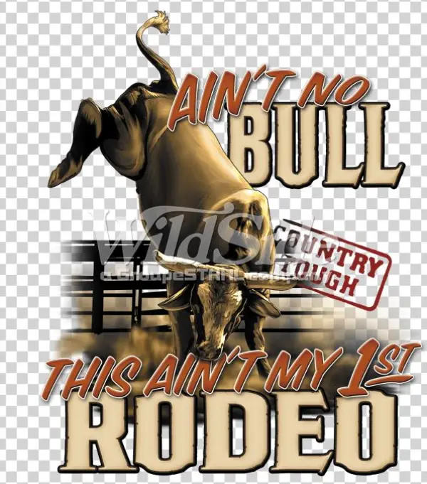 Ain't No Bull - Ain't No Bull This Ain't My First Roden Bull Riding