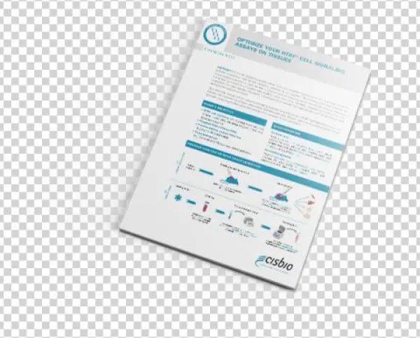 Download - Display Device