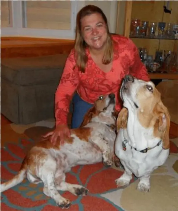 Elisa Skop - Cocker Spaniel